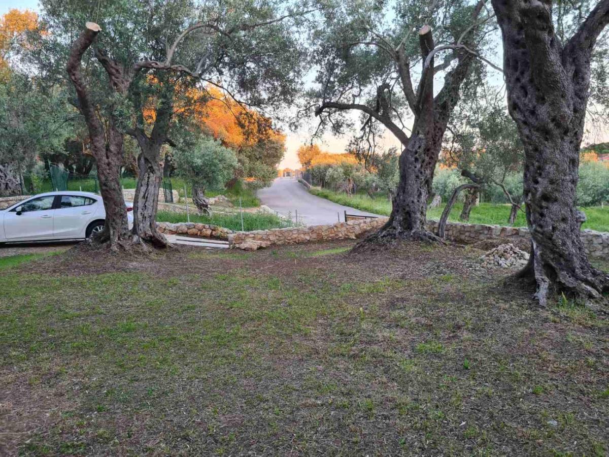 Olea Cottage Ulcinj Eksteriør billede