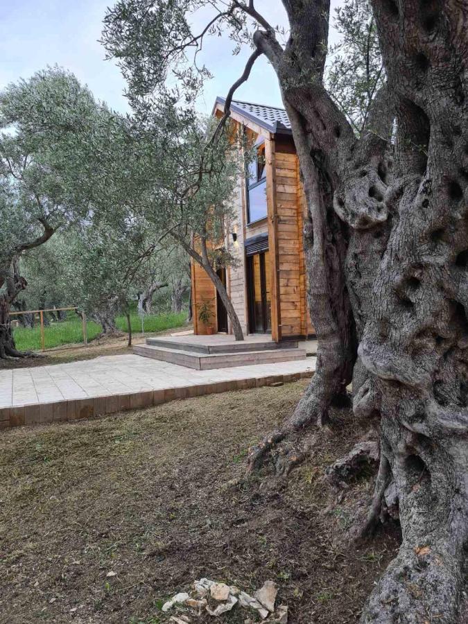Olea Cottage Ulcinj Eksteriør billede