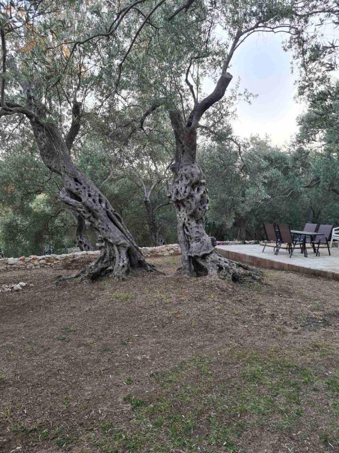Olea Cottage Ulcinj Eksteriør billede