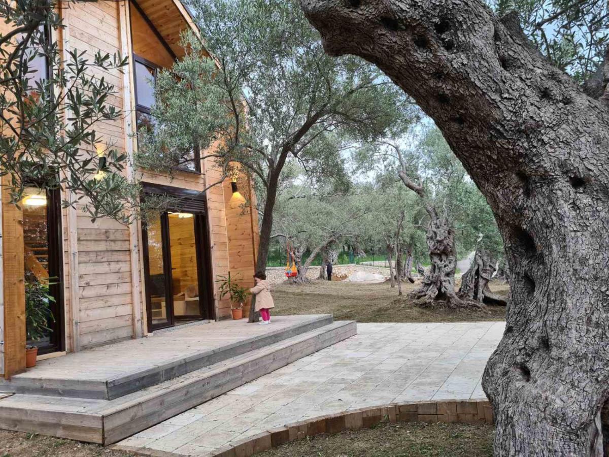 Olea Cottage Ulcinj Eksteriør billede