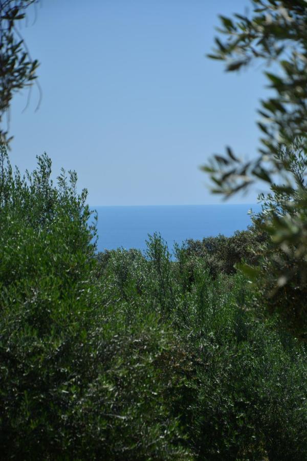 Olea Cottage Ulcinj Eksteriør billede