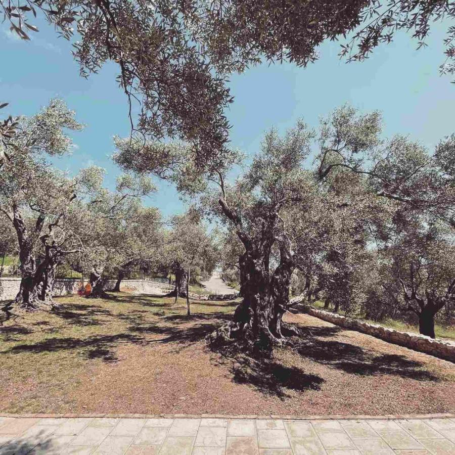 Olea Cottage Ulcinj Eksteriør billede