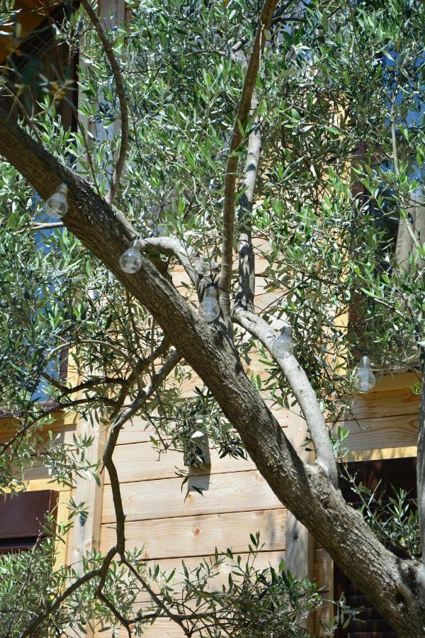 Olea Cottage Ulcinj Eksteriør billede