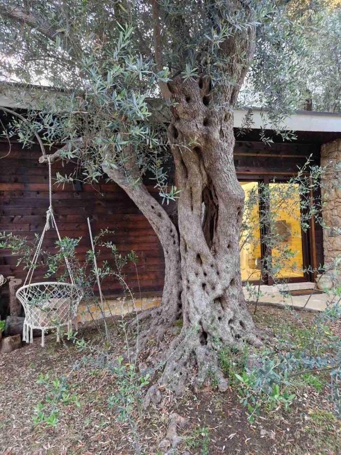Olea Cottage Ulcinj Eksteriør billede