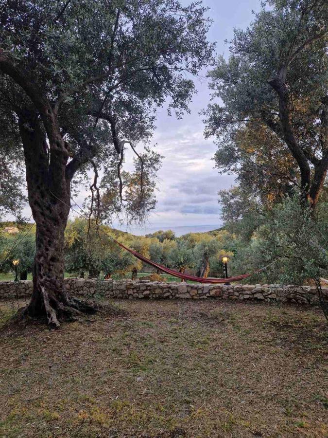 Olea Cottage Ulcinj Eksteriør billede