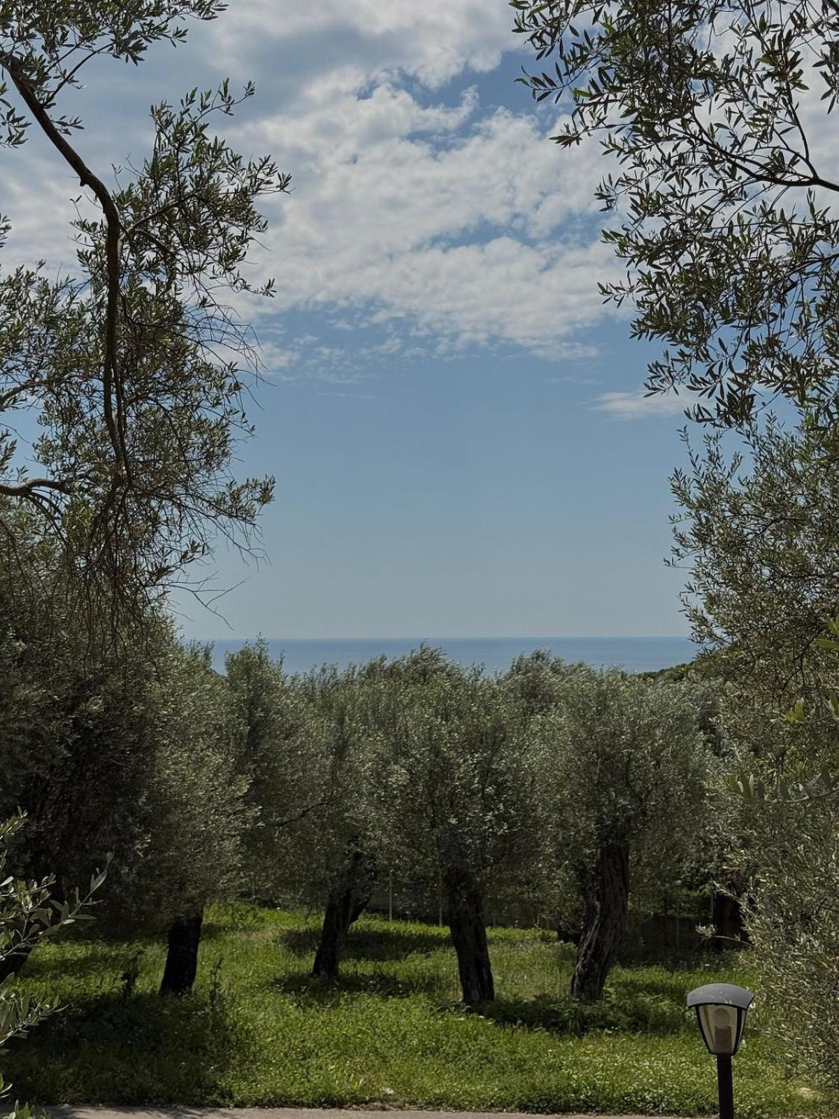 Olea Cottage Ulcinj Eksteriør billede