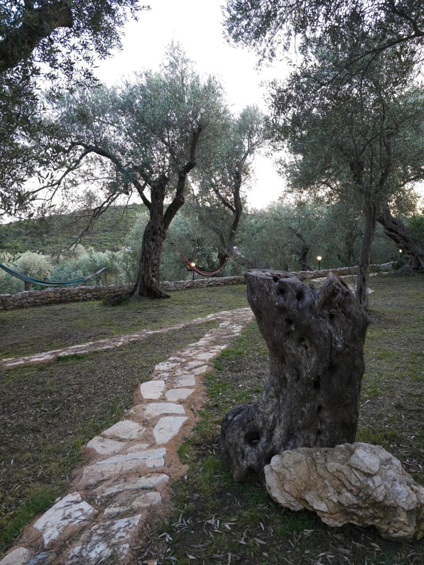 Olea Cottage Ulcinj Eksteriør billede