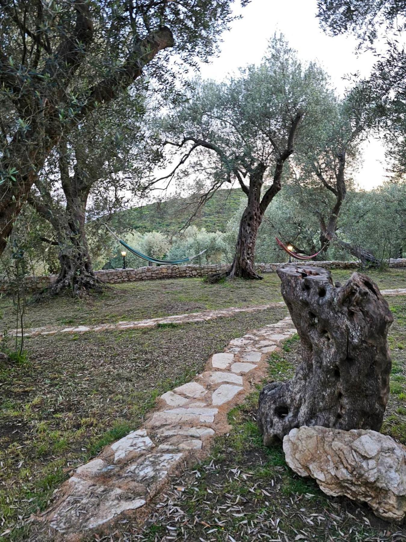 Olea Cottage Ulcinj Eksteriør billede