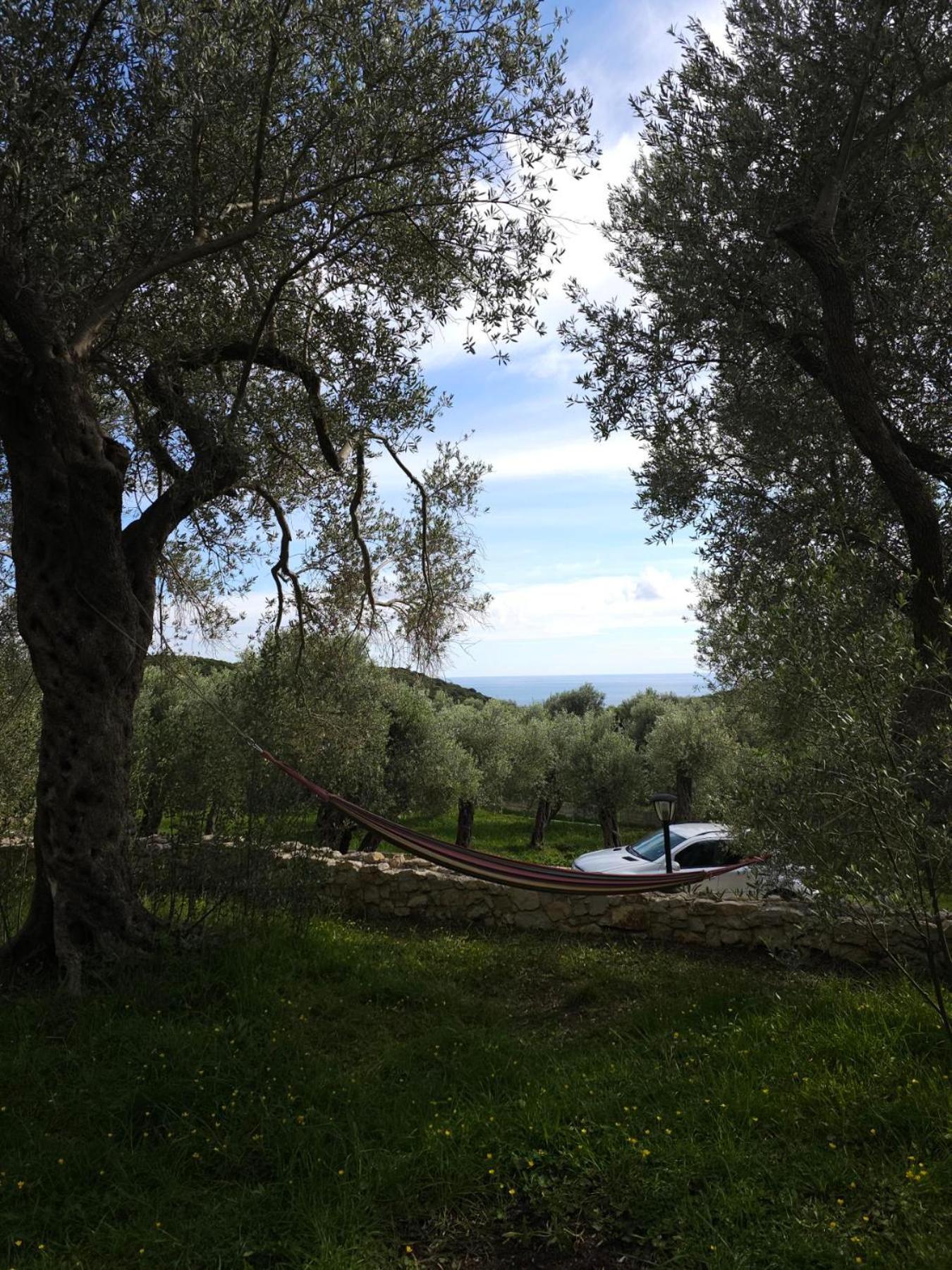 Olea Cottage Ulcinj Eksteriør billede